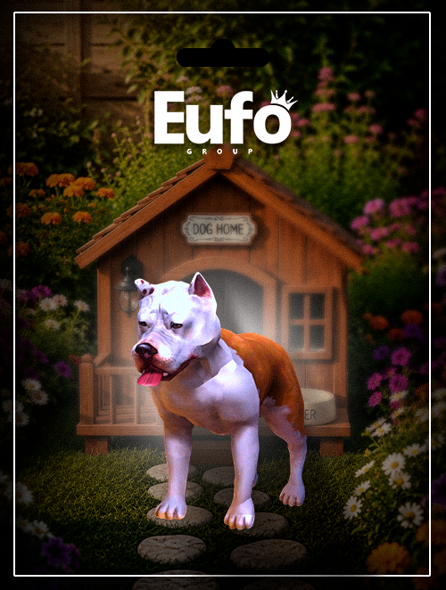 AMERICAN BULLY LATINDO
