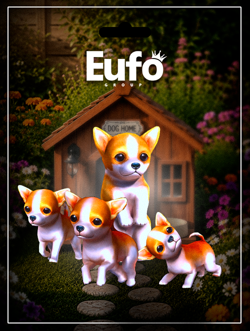 PACK CHIHUAHUA