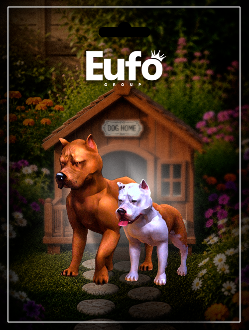 PACK AMERICAN BULLY