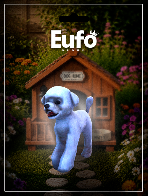 POODLE ALBINO CAMINHANDO