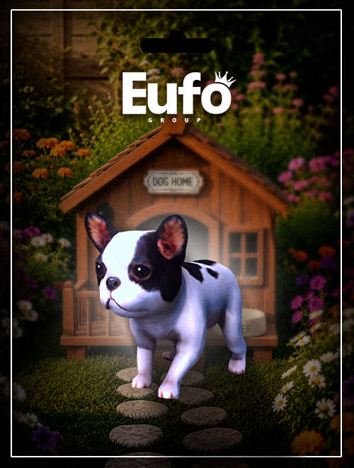 BULLDOG CORRENDO