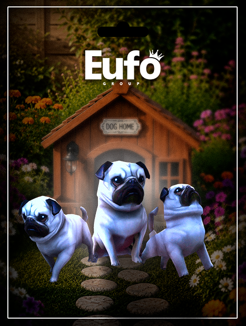 PACK PUG