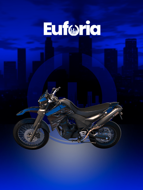 XT 660
