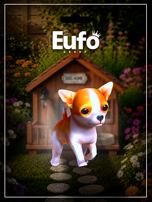 CHIHUAHUA NO OMBRO