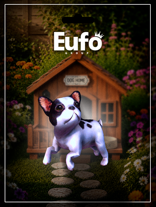 BULLDOG CORRENDO OLHANDO