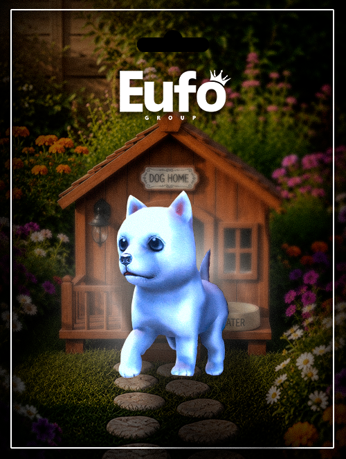 SHIBA ALBINO CAMINHANDO