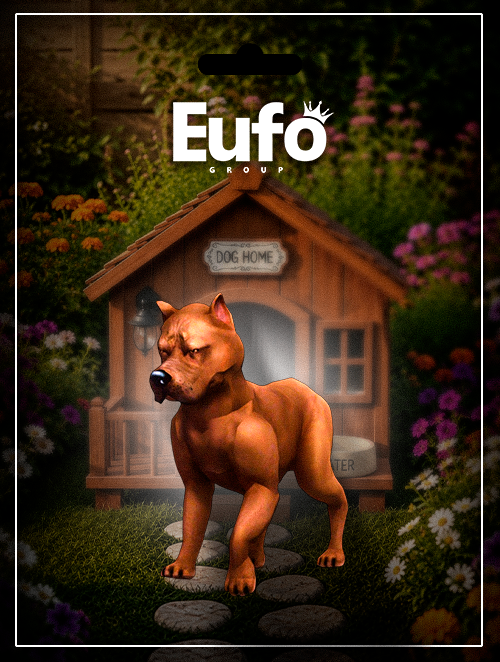 AMERICAN BULLY CAMINHANDO