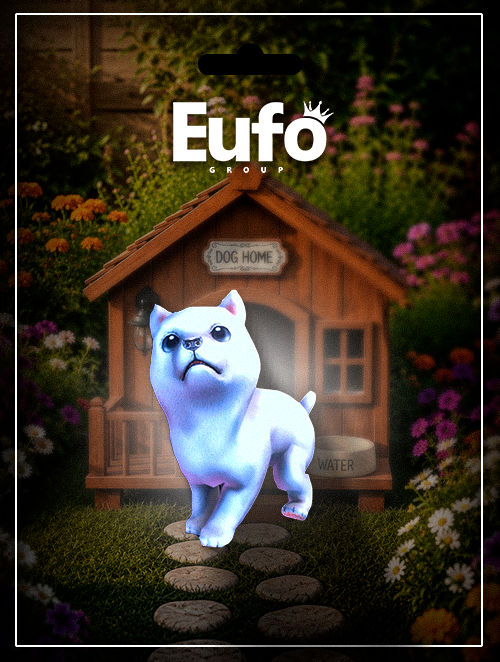 SHIBA ALBINO CORRENDO EM CIRCULO